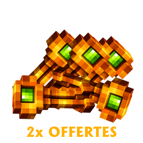 20x Clé de familier