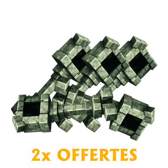 20x Clé d'apparence de familier